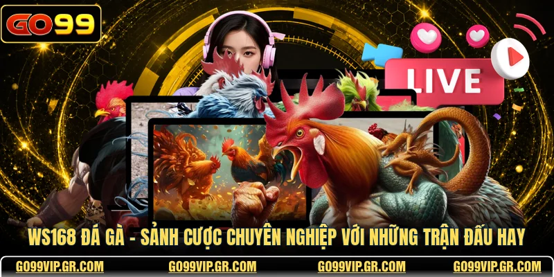 Ws168 Đá Gà - Sảnh Cược Chuyên Nghiệp Với Những Trận Đấu Hay Ws168 Đá Gà